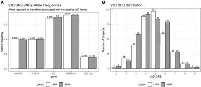 Relationship Between a Vitamin D Genetic Risk Score and Autoantibodies Among First-Degree Relatives of Probands With Rheumatoid Arthritis and Systemic Lupus Erythematosus